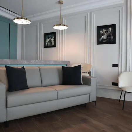Apartman In The Heart Of Cannes